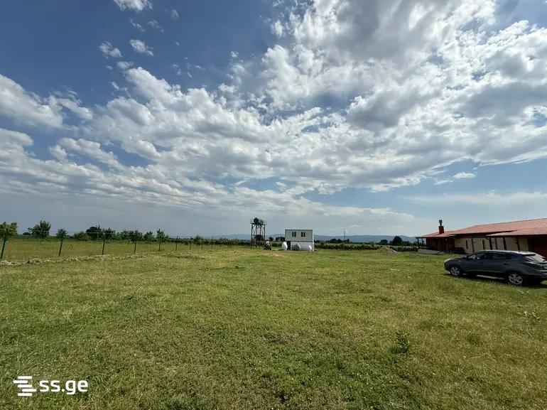 Commercial Space For Sale. Kvareli view 11