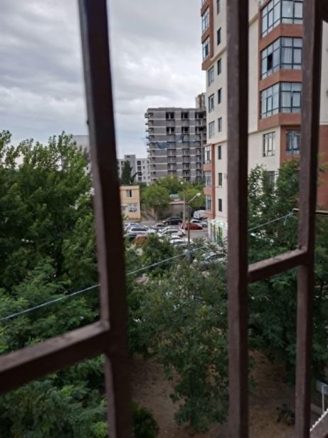 https://static.ss.ge/20260803/4_fcbf0946-c3b7-4cd9-aab6-c93518090c34_Thumb.jpg