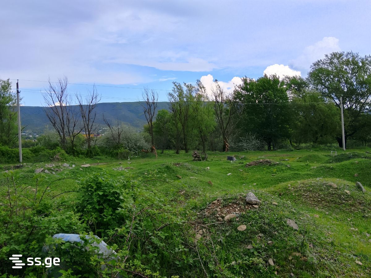 იყიდება Agricultural Plot In Tsilkani, In Mtskheta Municipalityში view 8