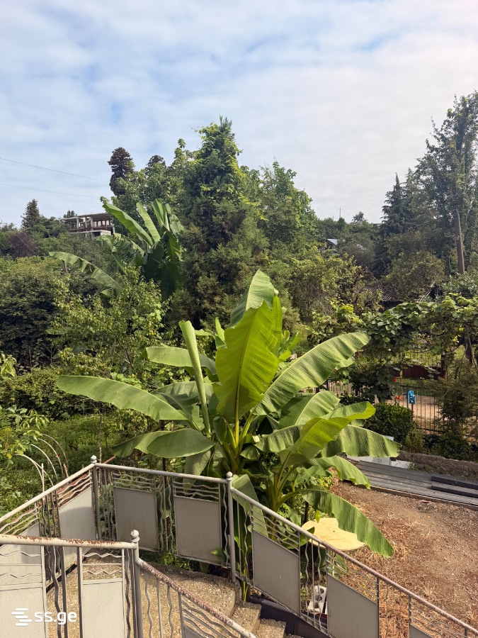 4 Room Private House Daily Rent. Chaqvi view 15
