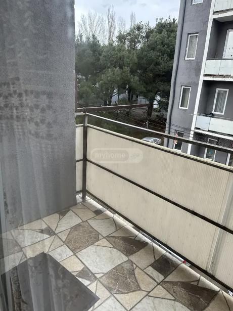 https://static.ss.ge/20260803/7_e8aa86e5-6dc5-4833-8e19-cb7aea4f8e02_Thumb.jpg