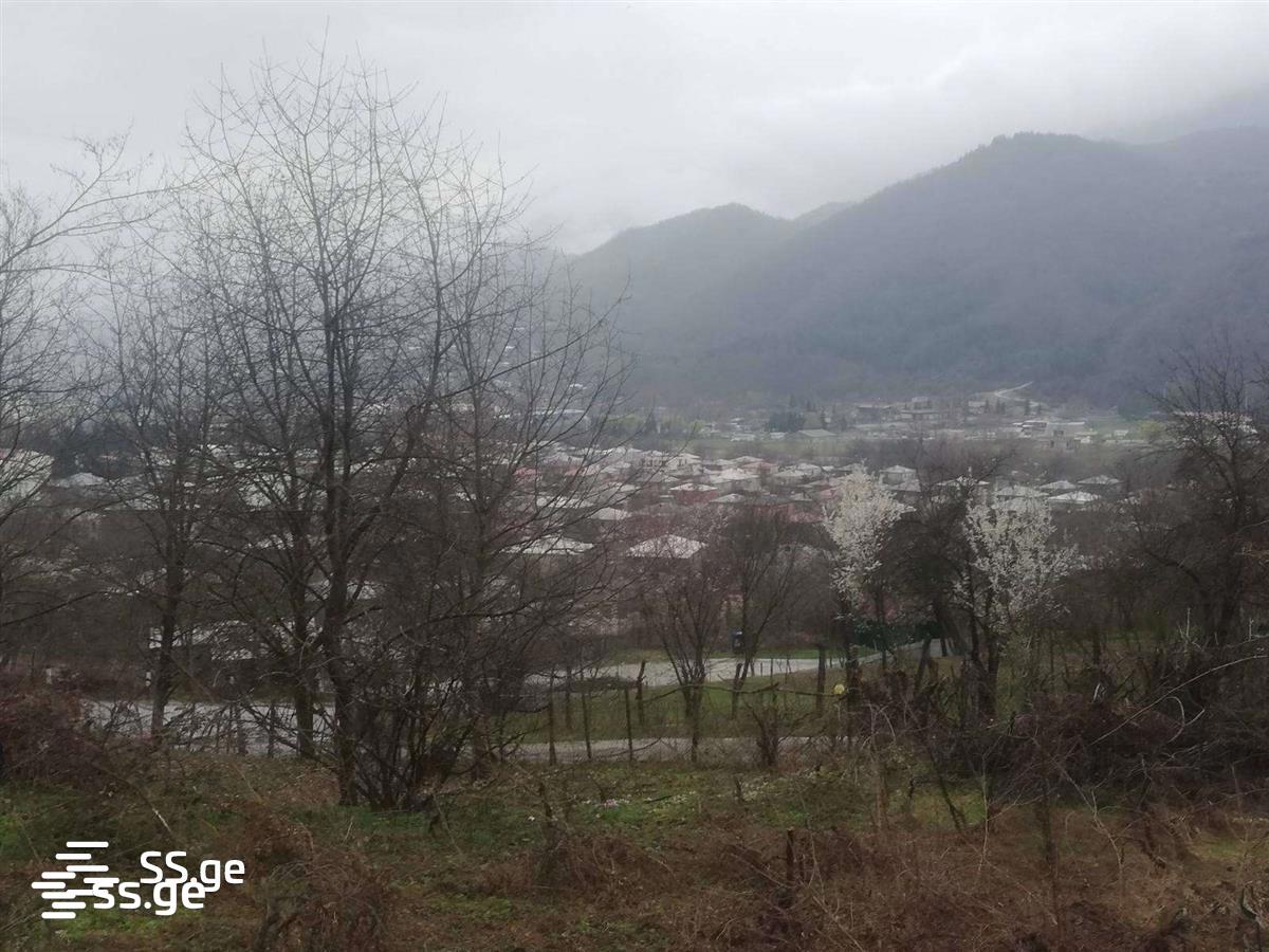 იყიდება მიწა ამბროლაურიში view 1
