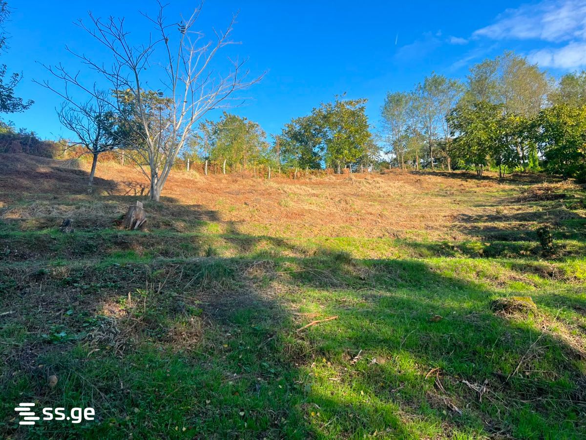 Land For Sale. Tsikhisdziri view 2