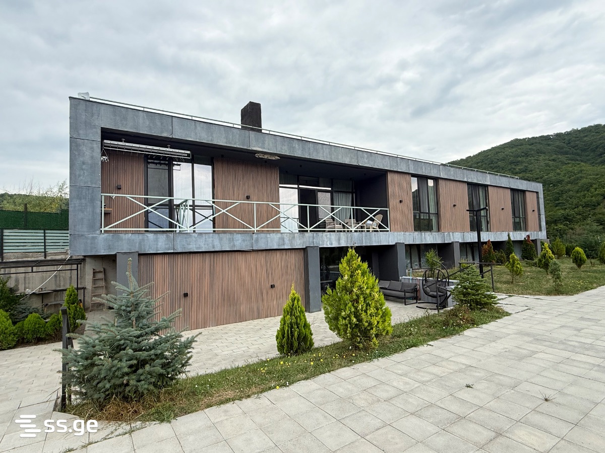 Private House For Sale. Bazaleti view 2