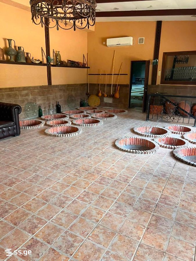 Store-Industrial Property For Sale. Sagarejo view 11