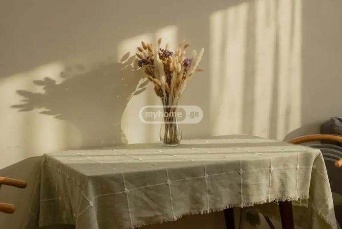 https://static.ss.ge/20260804/14_5dc5243d-1eb9-4109-ae41-4a275698a8b7_Thumb.jpg