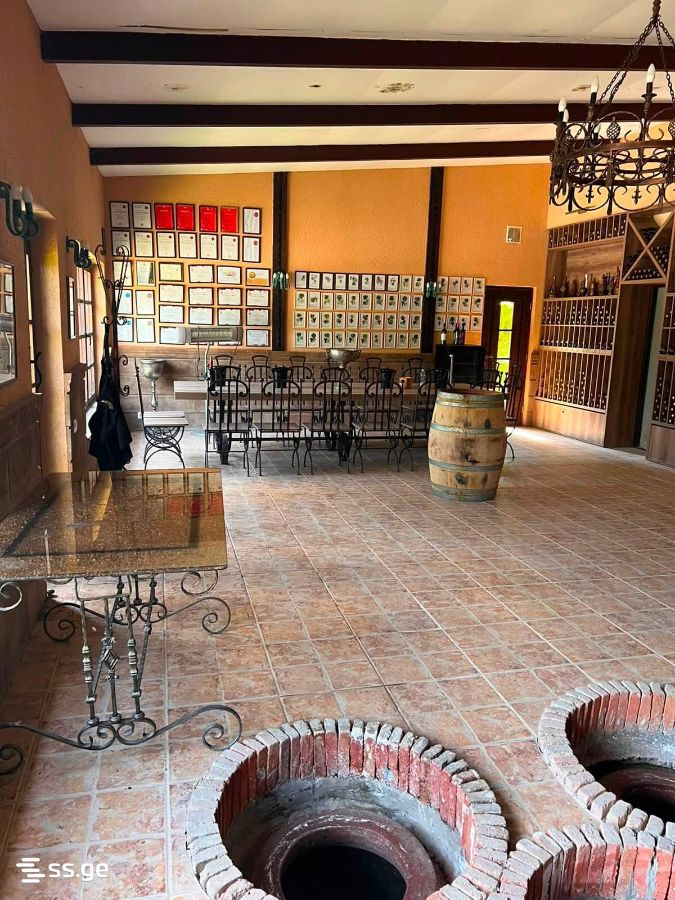 Store-Industrial Property For Sale. Sagarejo view 6