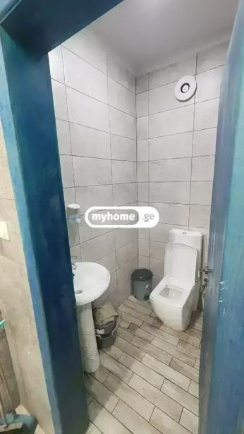 https://static.ss.ge/20260804/18_70567b01-5f19-47e4-ab86-9878aea2ce79_Thumb.jpg