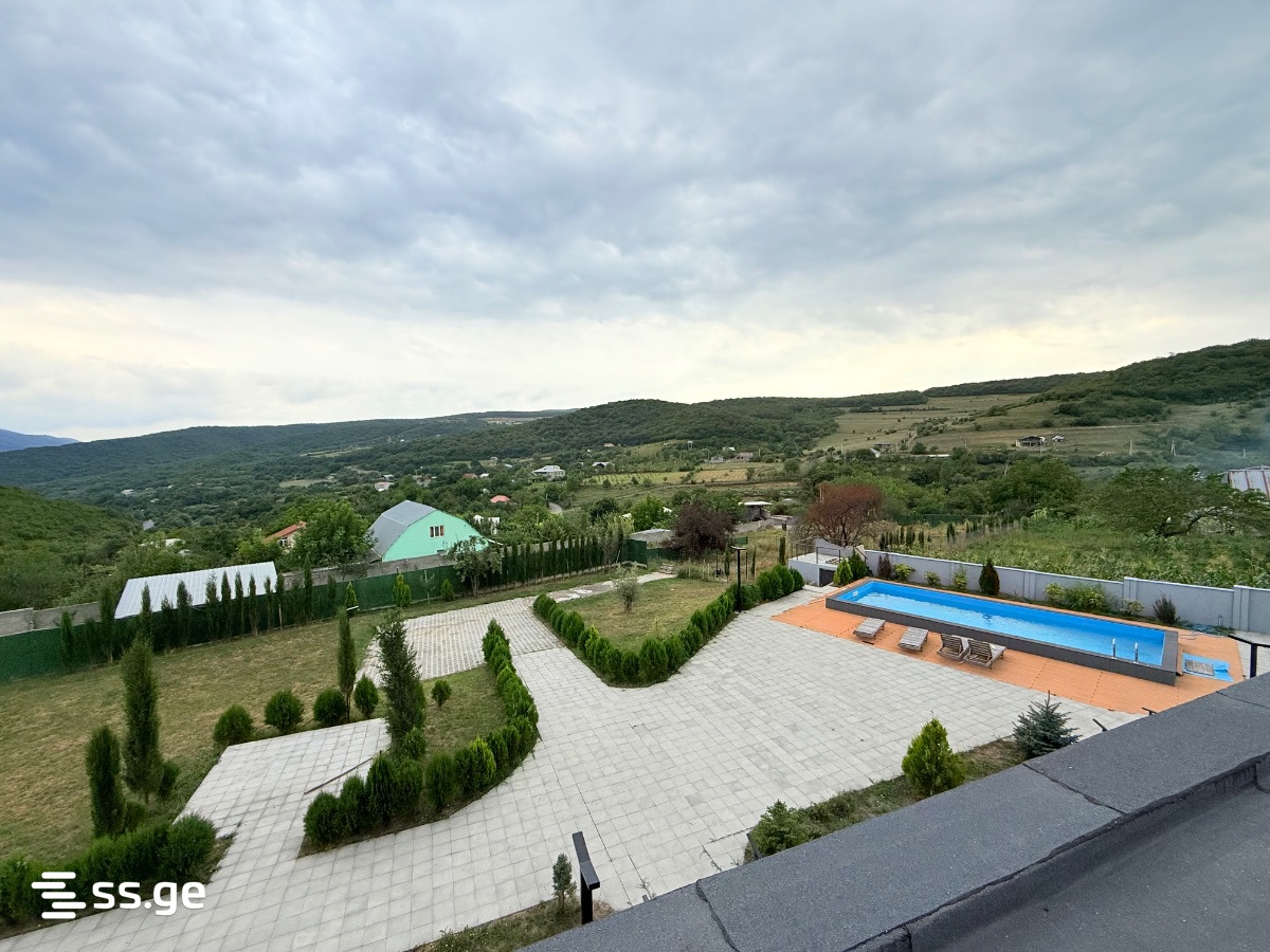 Private House For Sale. Bazaleti view 3