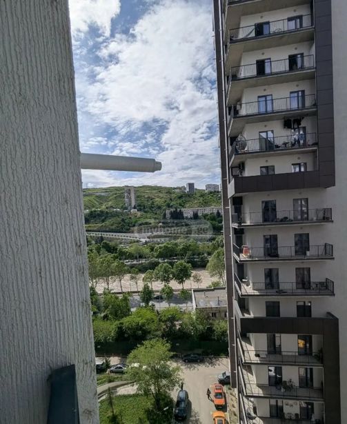 https://static.ss.ge/20260804/19_02fc0d28-ea66-43e8-b3e5-c98d368a6620_Thumb.jpg