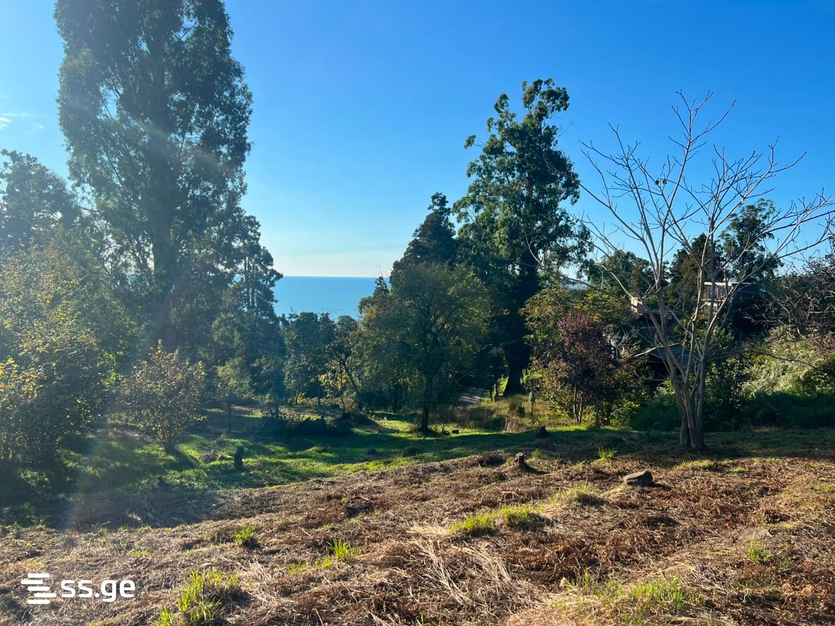 Land For Sale. Tsikhisdziri view 4
