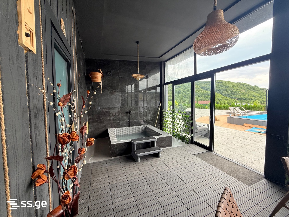 Private House For Sale. Bazaleti view 14