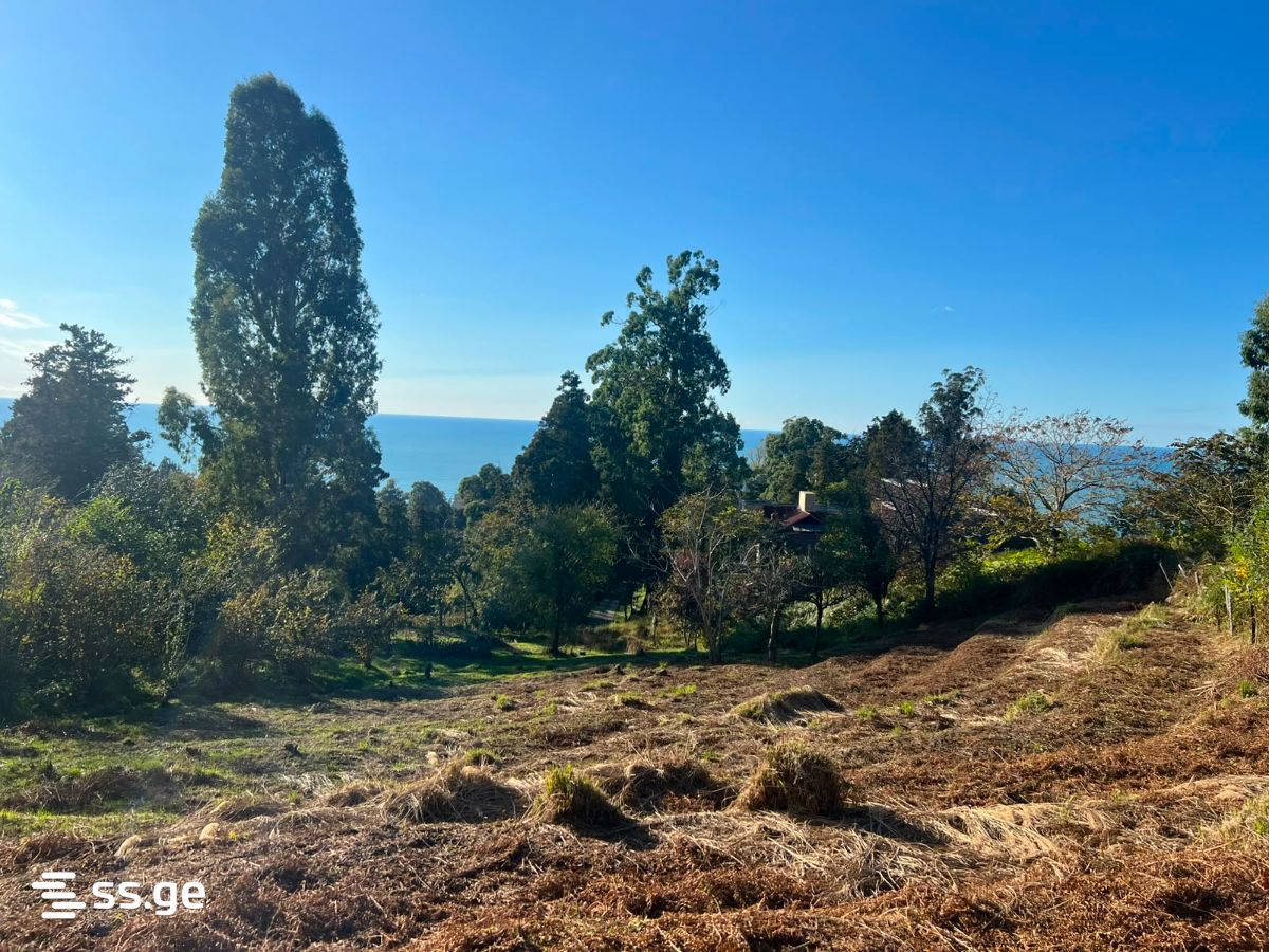 Land For Sale. Tsikhisdziri view 3