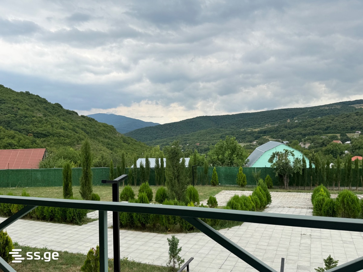 Private House For Sale. Bazaleti view 4