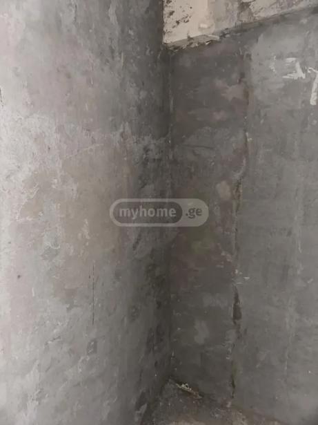 https://static.ss.ge/20260804/3_abea199d-8e37-4e41-942d-88b5e4e0f4be_Thumb.jpg