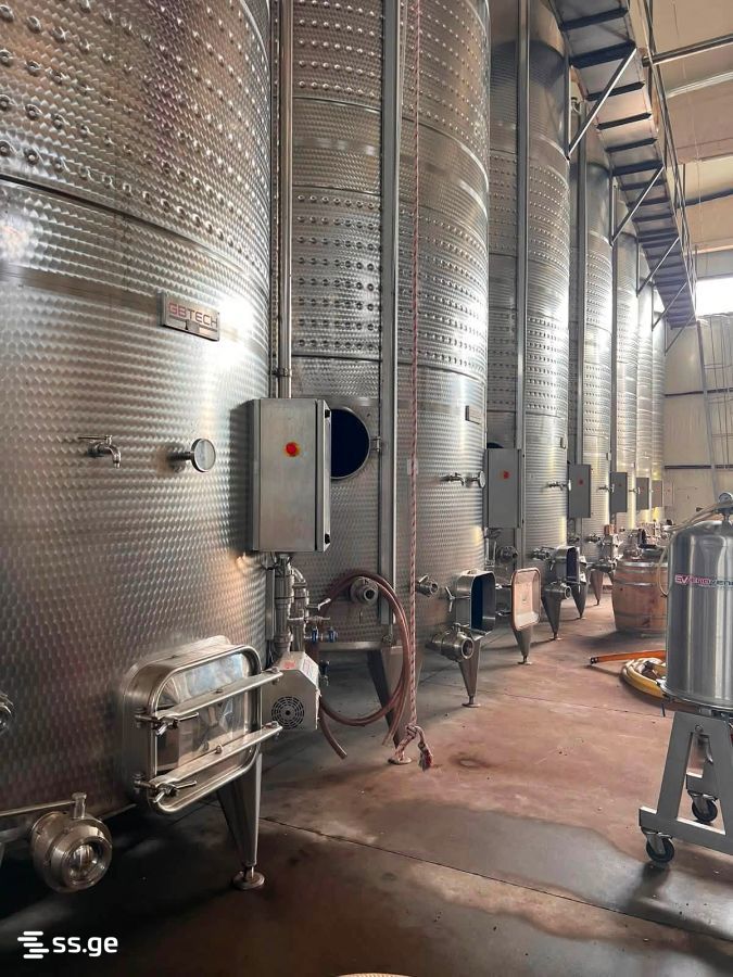 Store-Industrial Property For Sale. Sagarejo view 13