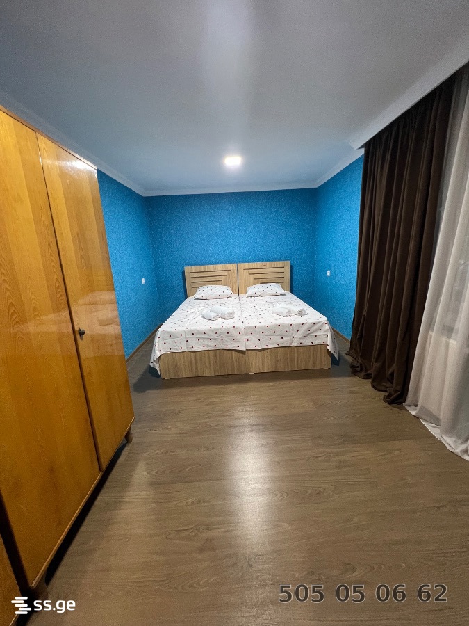 3 Room Flat Daily Rent. Telavi view 8