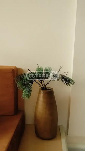 https://static.ss.ge/20260804/6_07d29d01-2b38-4536-9a0d-2cb52bed3a9a_Thumb.jpg