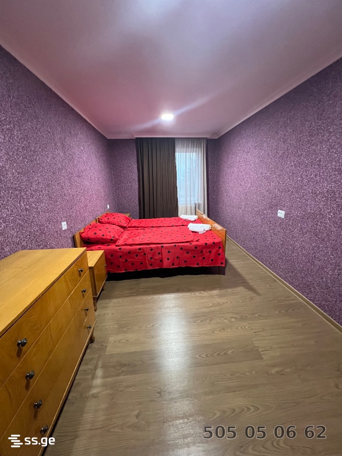 3 Room Flat Daily Rent. Telavi view 9