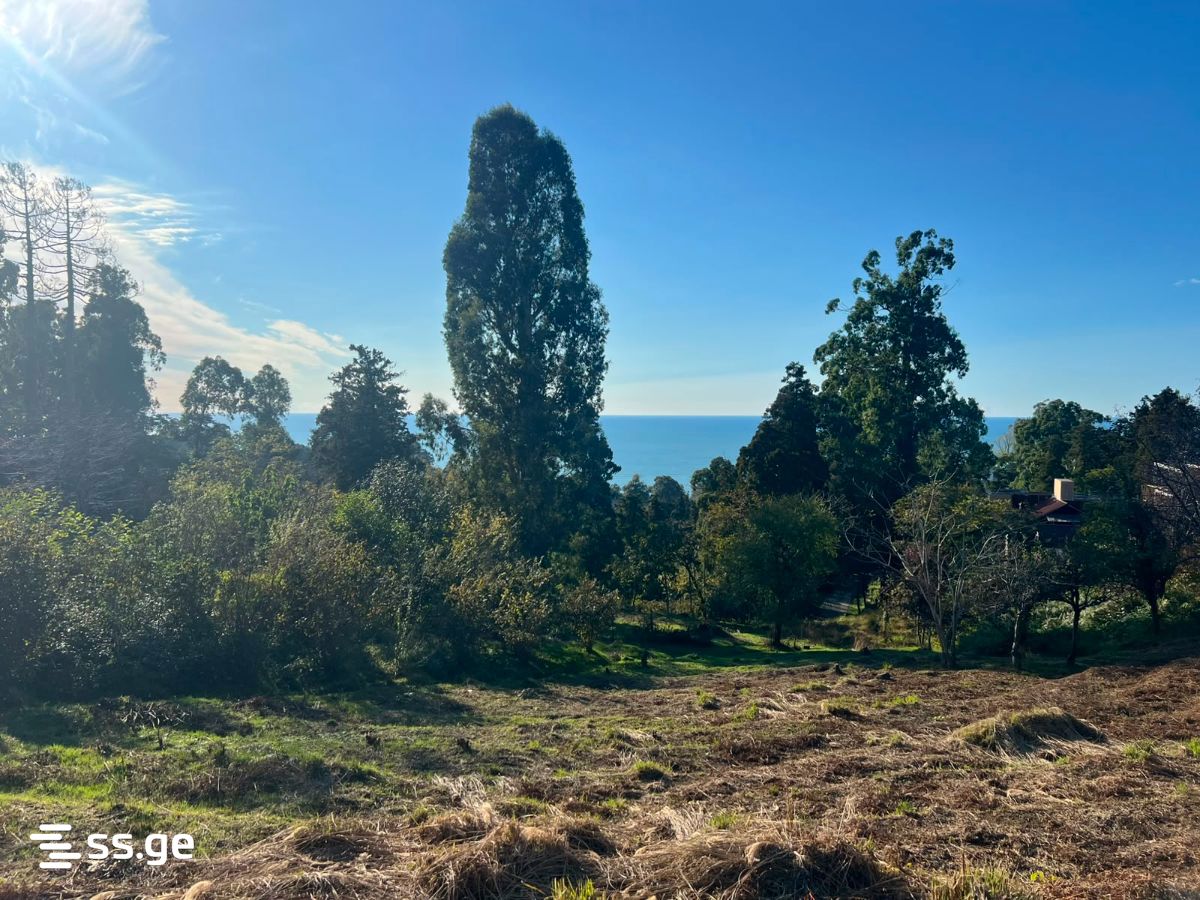 Land For Sale. Tsikhisdziri view 1