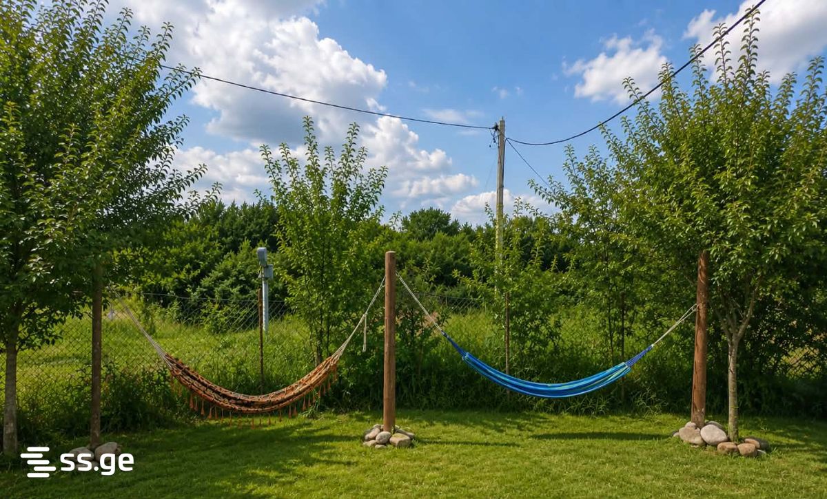 6 Room Summer Cottage Daily Rent. Tianeti view 12
