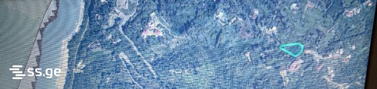 Land For Sale. Tsikhisdziri view 5