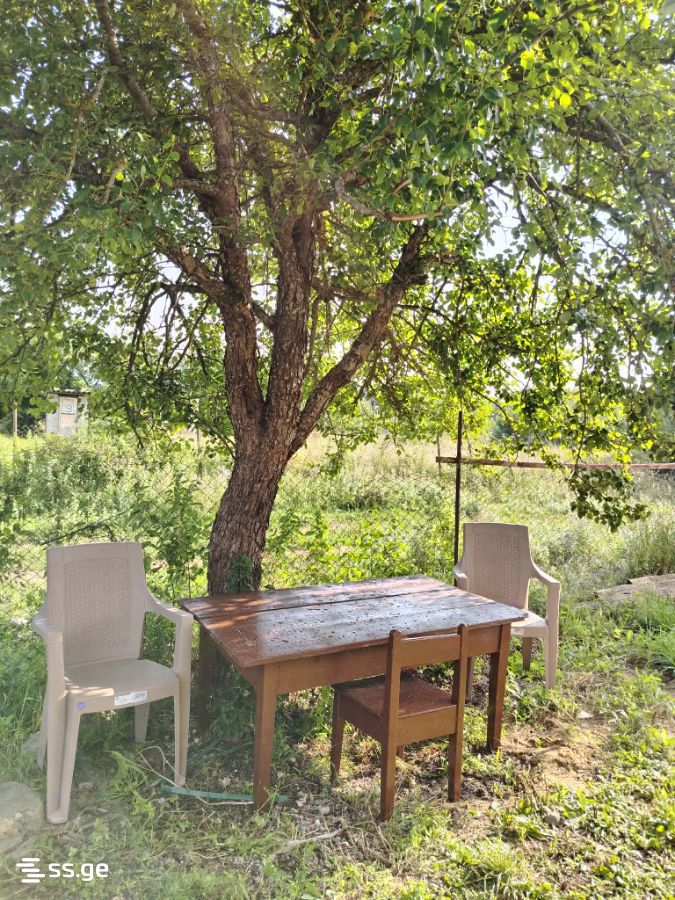 6 Room Summer Cottage Daily Rent. Tianeti view 1