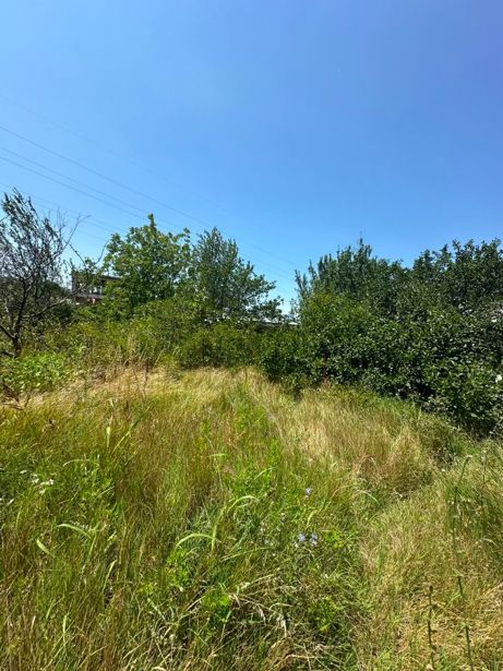 https://static.ss.ge/20260804/7_df4f71b8-2a87-4941-a662-2c205b2d8947_Thumb.jpg