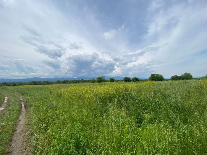 https://static.ss.ge/20260805/0_88c4e6c6-55d1-437e-b44a-5269a6c070ef_Thumb.jpg