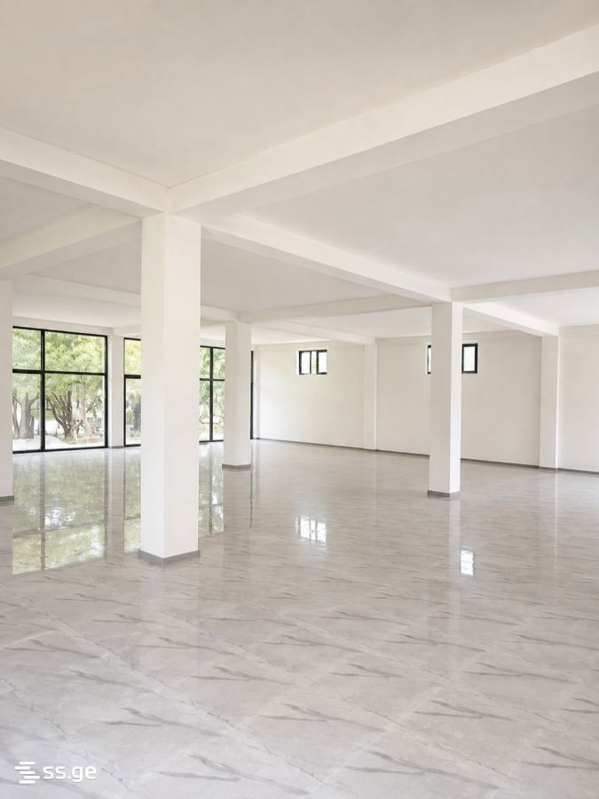Commercial Real Estate For Rent. Misaktsieli view 1
