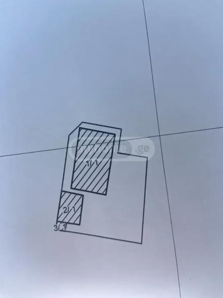 https://static.ss.ge/20260805/12_785956c1-573d-410b-a4e5-f7f85b9217e7_Thumb.jpg
