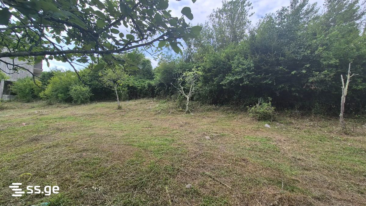 Private House For Sale. Tskaltubo view 3