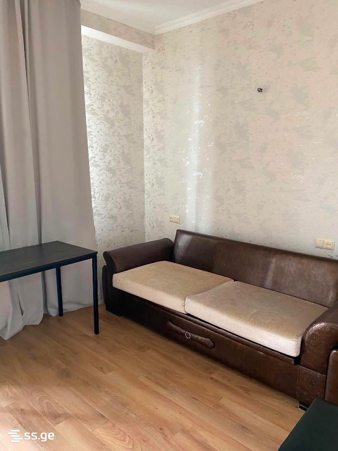 2 Room Flat For Rent. Zugdidi view 5