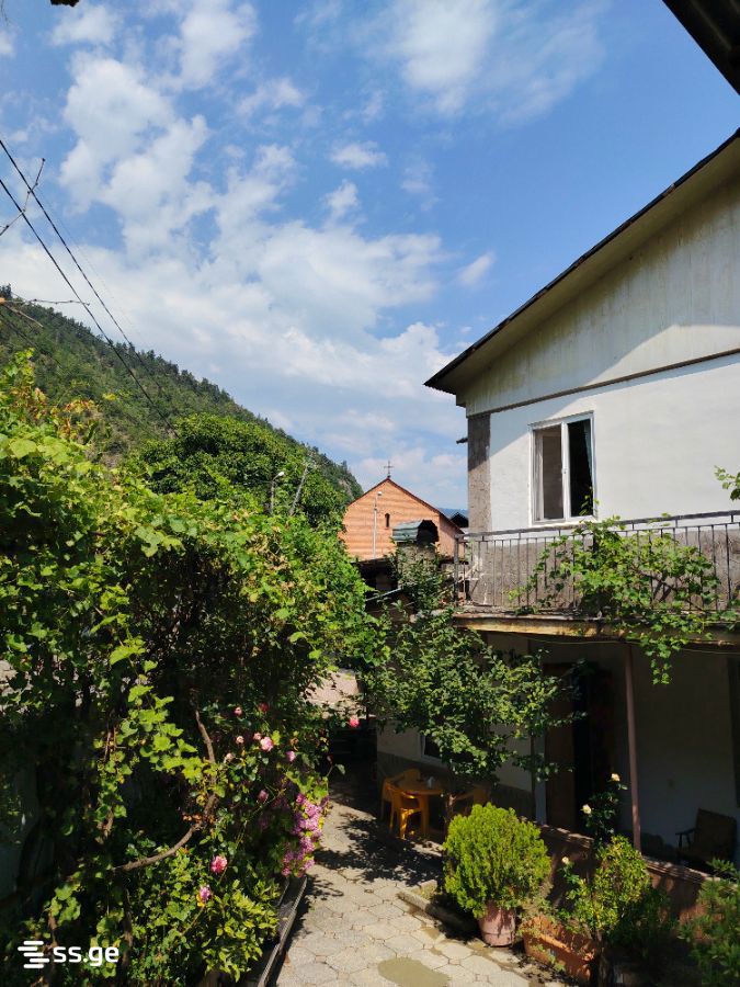 1 Room Private House For Rent. Borjomi view 10