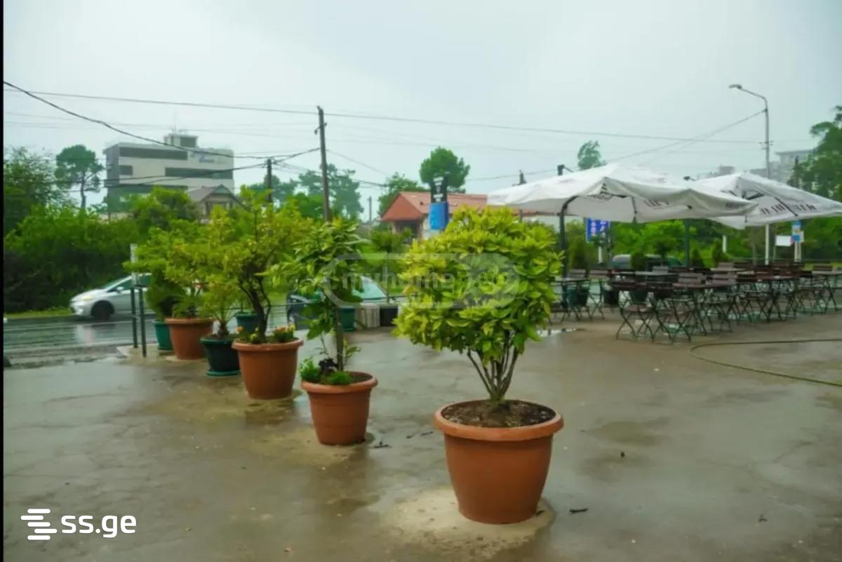 27 Room Hotel For Sale view 10