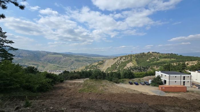 https://static.ss.ge/20260805/15_ab45e961-15ee-4177-9392-7cbddca91f89_Thumb.jpg
