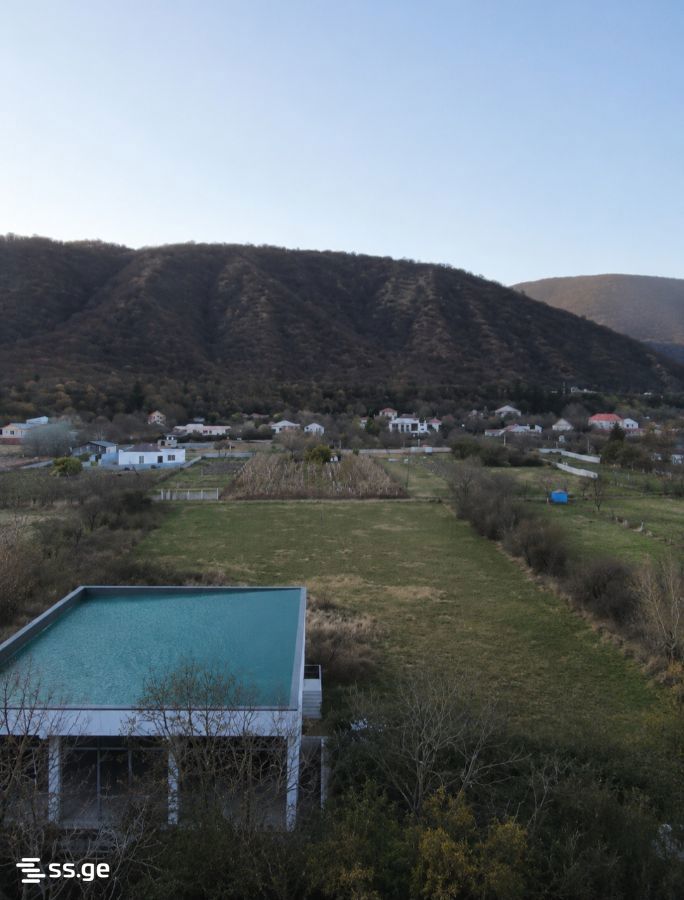 Commercial Real Estate For Rent. Misaktsieli view 2