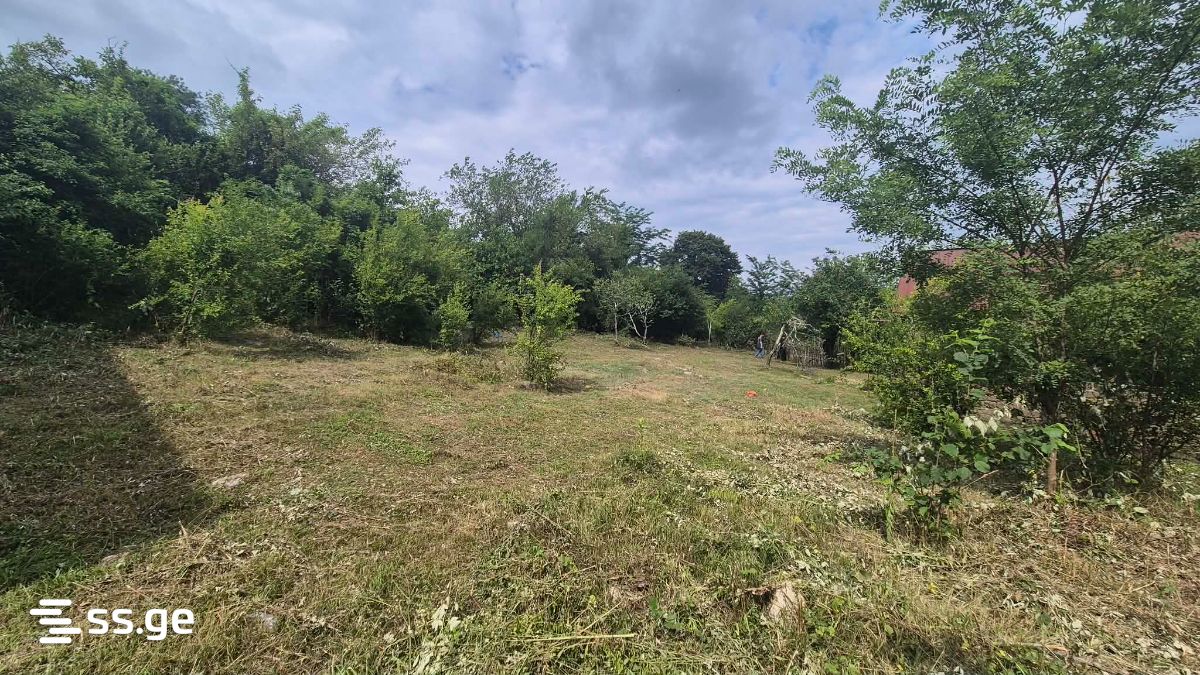 Private House For Sale. Tskaltubo view 8