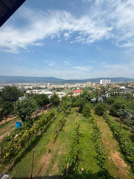 https://static.ss.ge/20260805/1_c687ee52-5b1e-4e63-8a31-7a80eea484ba_Thumb.jpg