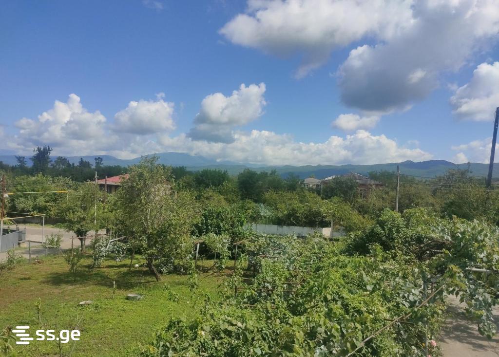 3 Room Private House Daily Rent. Tskaltubo view 11