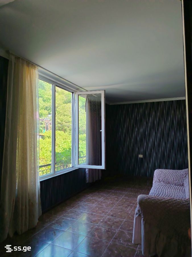 1 Room Private House For Rent. Borjomi view 9