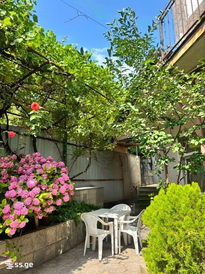 1 Room Private House For Rent. Borjomi view 12