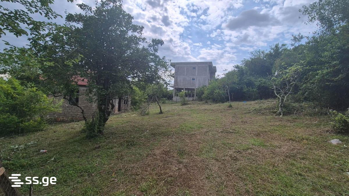 Private House For Sale. Tskaltubo view 2