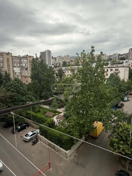 https://static.ss.ge/20260806/13_8d1ca12e-3019-4592-87e8-477ac24d74bd_Thumb.jpg