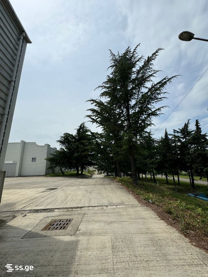 Store-Industrial Property For Rent. Tserovani view 7