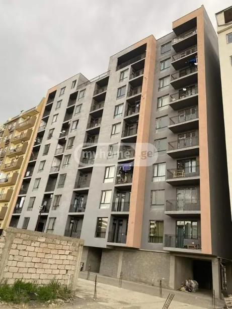 https://static.ss.ge/20260806/17_ae272b1f-b096-4f20-b68f-1e5c4529f62d_Thumb.jpg