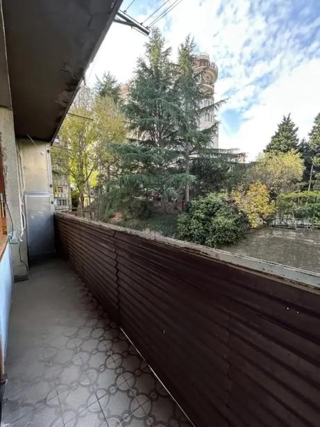 https://static.ss.ge/20260806/17_dd43506c-f02b-4444-8b13-d4e4c07431d6_Thumb.jpg