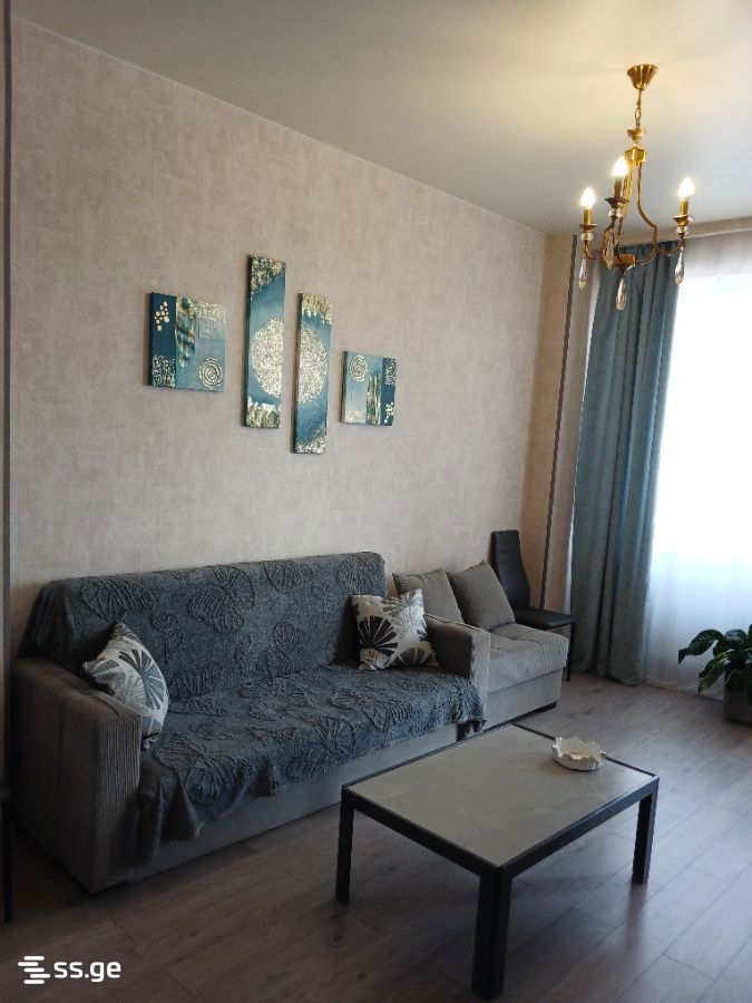 2 Room Flat Daily Rent. Gldani view 15