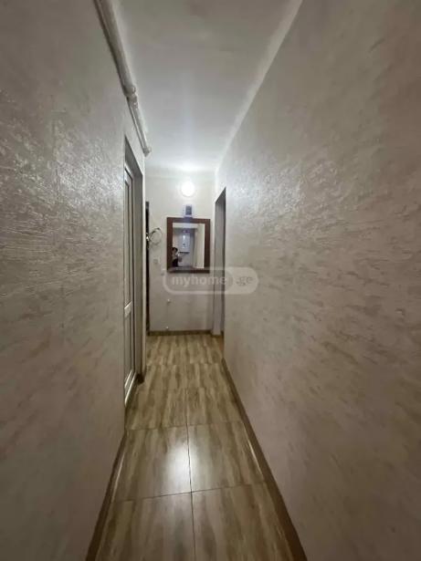 https://static.ss.ge/20260806/18_ef9bc4b6-37c6-4c27-85fe-bedec071d710_Thumb.jpg