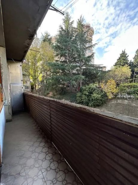 https://static.ss.ge/20260806/4_06800b03-2bba-4316-876e-9b79ea600539_Thumb.jpg